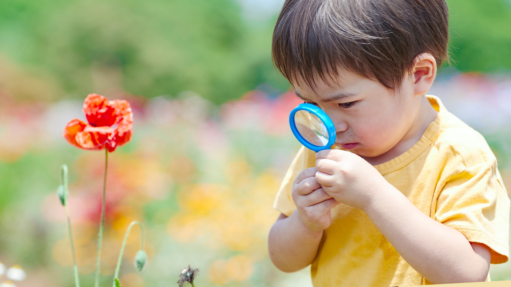 子ども用双眼鏡