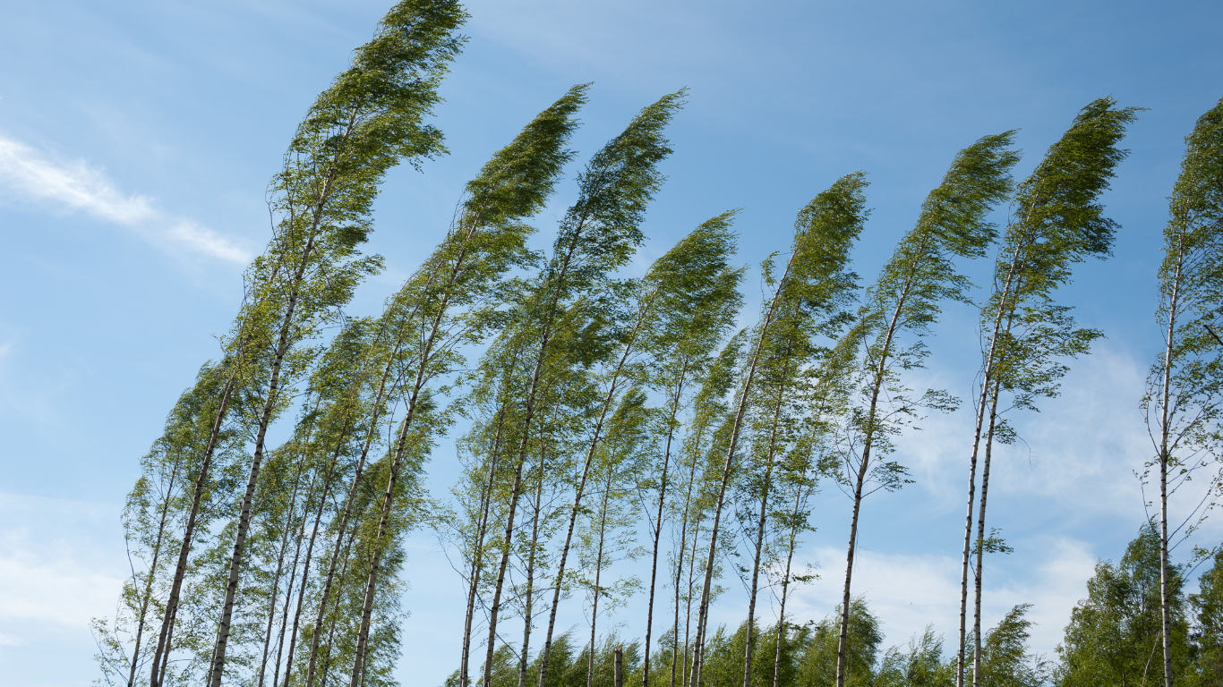 墓参りで線香に火がつかない時の対策｜チャッカマンでもだめなときの便利グッズ